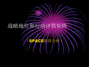 SPACE矩阵分析.ppt