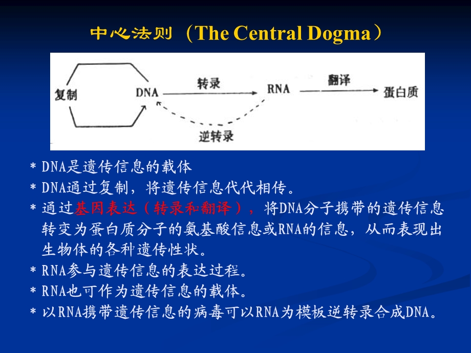 3基因表达.ppt_第2页