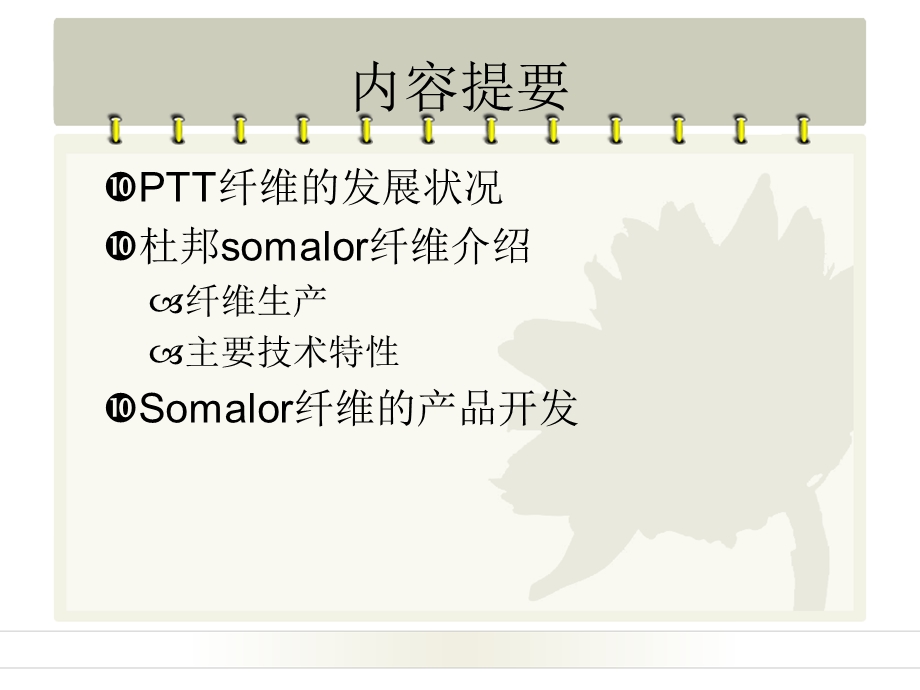 Somalor纤维及其产品开发.ppt_第2页