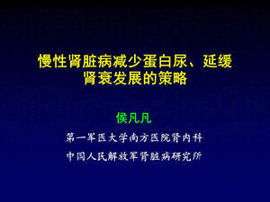 CKD减少尿蛋白延缓进展的策略.ppt