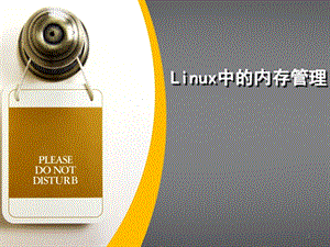 linux中的内存管理.ppt.ppt