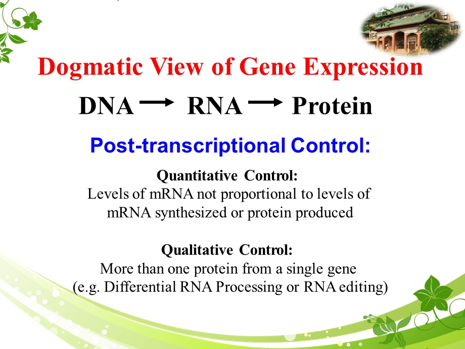 RNA干扰技术原理及应用.ppt_第3页