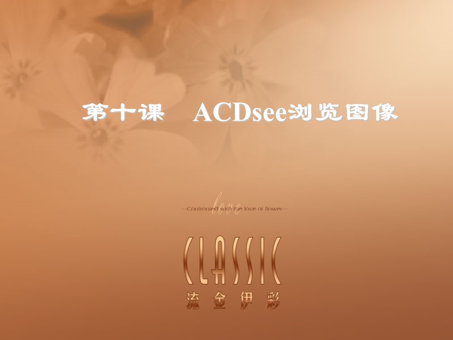 ACDsee浏览图像.ppt_第1页