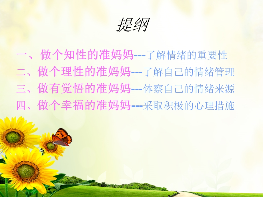 做个幸福的准妈妈.ppt_第2页