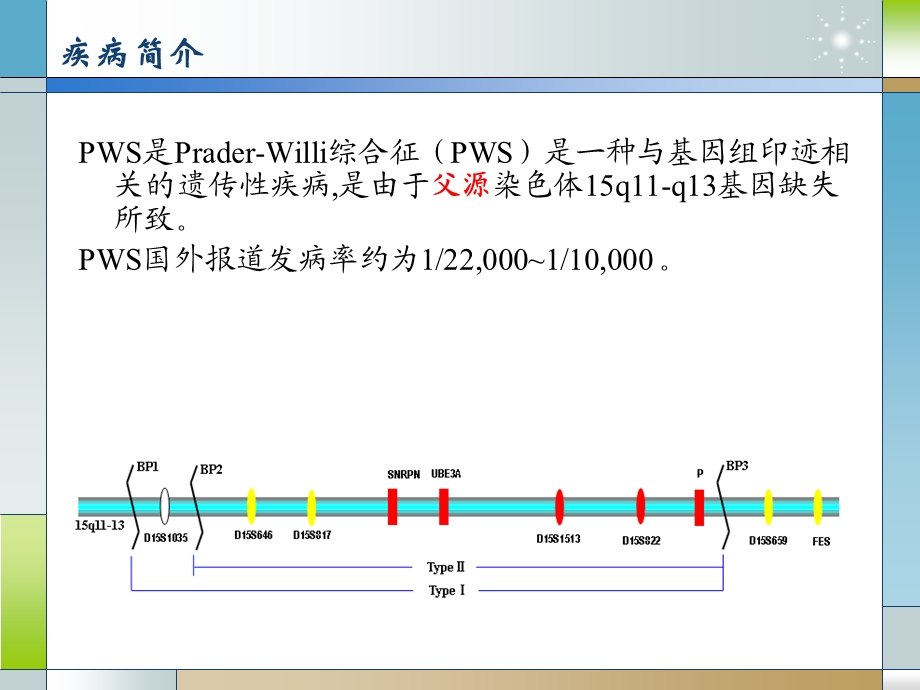 Prader-Willi综合征.ppt_第2页