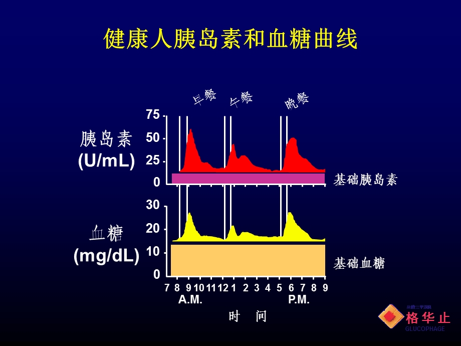 2型糖尿病口服药物治疗进展.ppt_第2页