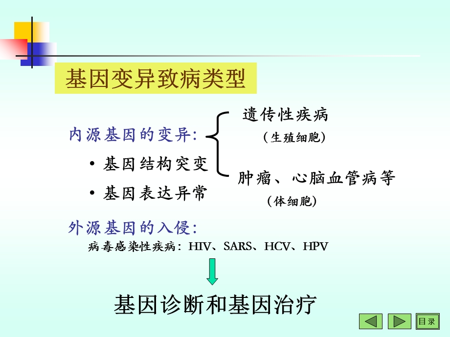 DNA与基因芯片.ppt_第2页