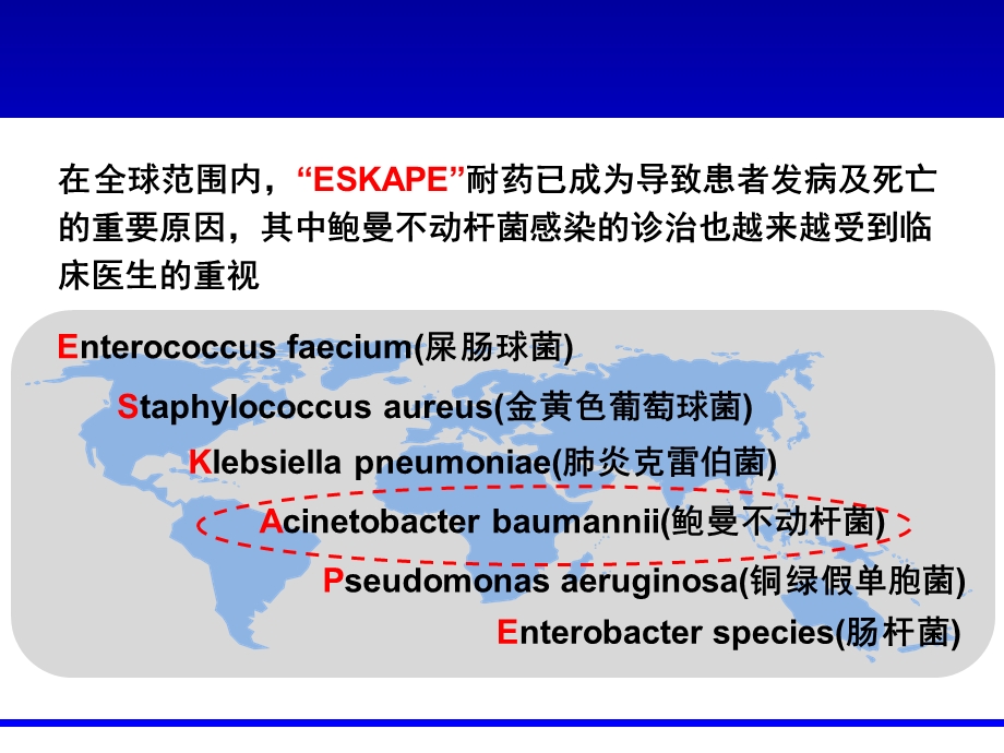 MDR鲍曼不动杆菌的流行病学和治疗策略.ppt_第2页