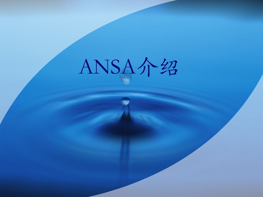 ansa(有限元前处理软件).ppt_第1页