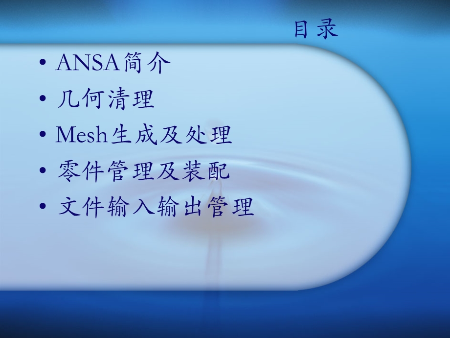 ansa(有限元前处理软件).ppt_第2页