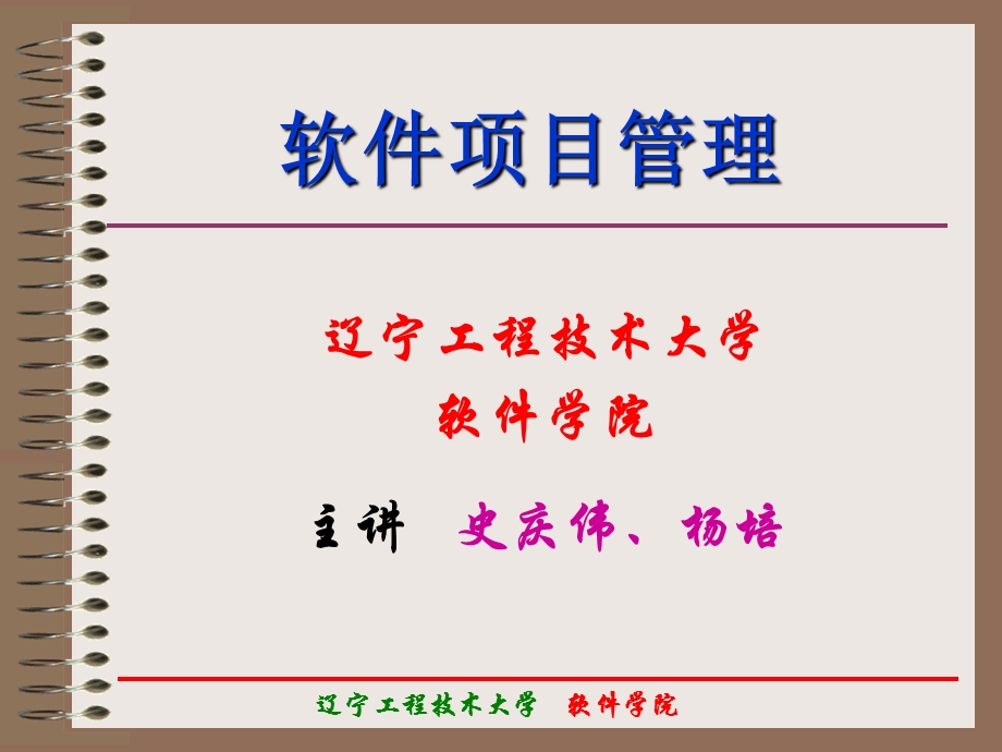 IT软件项目管理概述.ppt_第1页