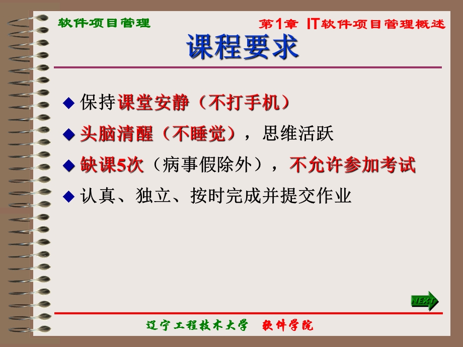 IT软件项目管理概述.ppt_第3页