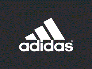 Adidas企业文化分析.ppt