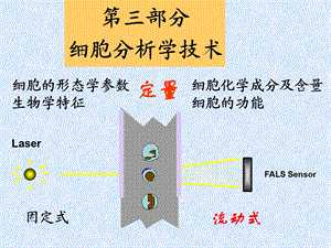 FCM原理研究生.ppt