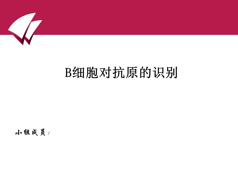 B细胞对抗原的识别.ppt_第1页