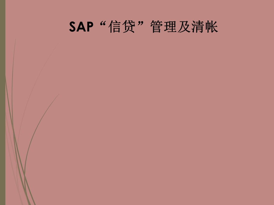 SAP系统信贷管理及清帐.ppt_第1页