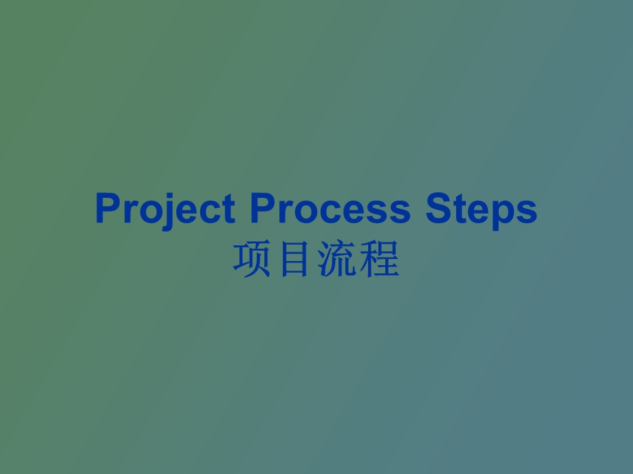 rojectProcessSteps项目流程.ppt_第1页