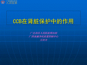 CCB在肾脏保护中的作用.ppt