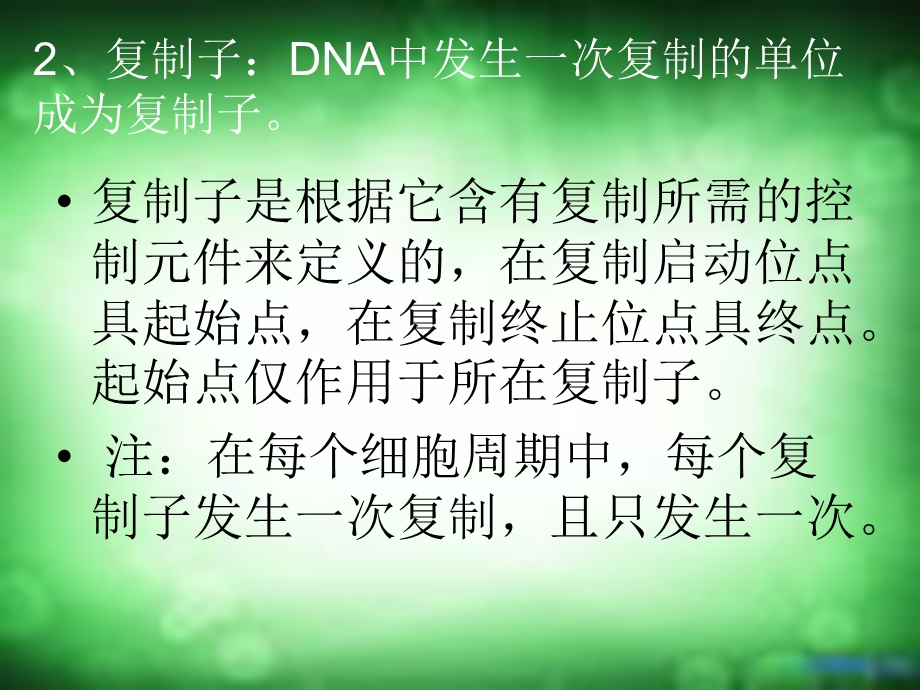 DNA复制的起点和方向.ppt_第2页