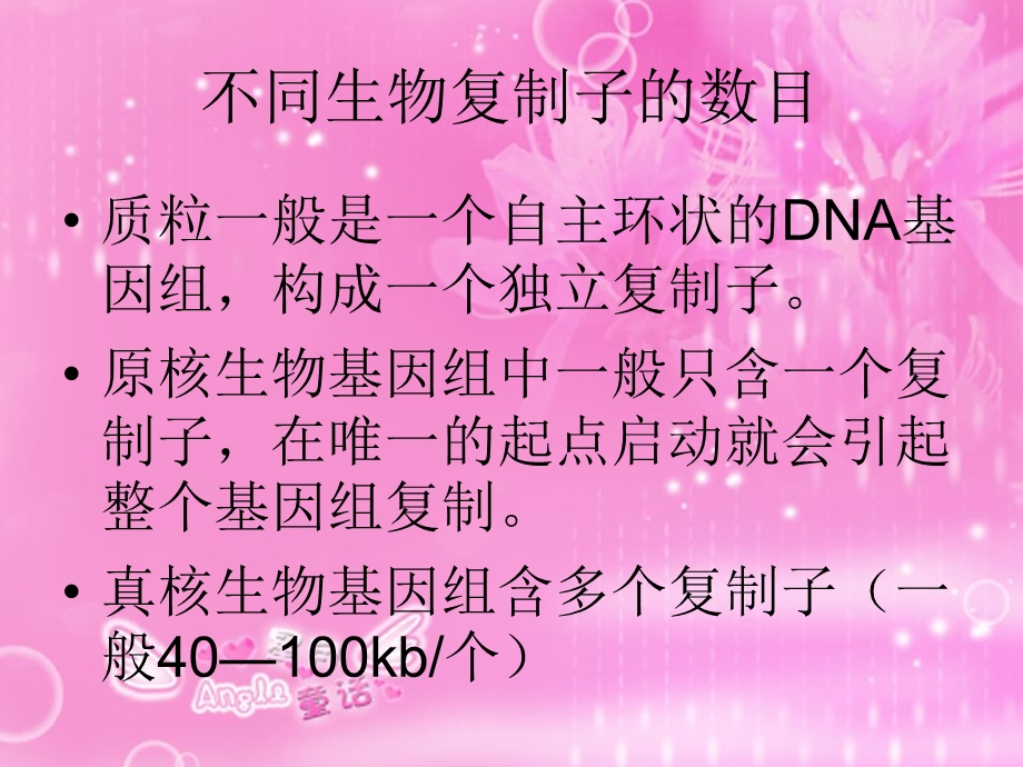 DNA复制的起点和方向.ppt_第3页