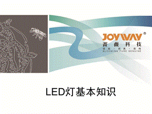 LED灯基本知识.ppt