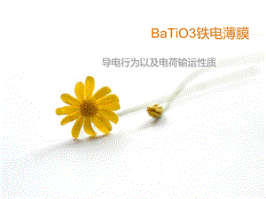 BaTiO3铁电薄膜.ppt