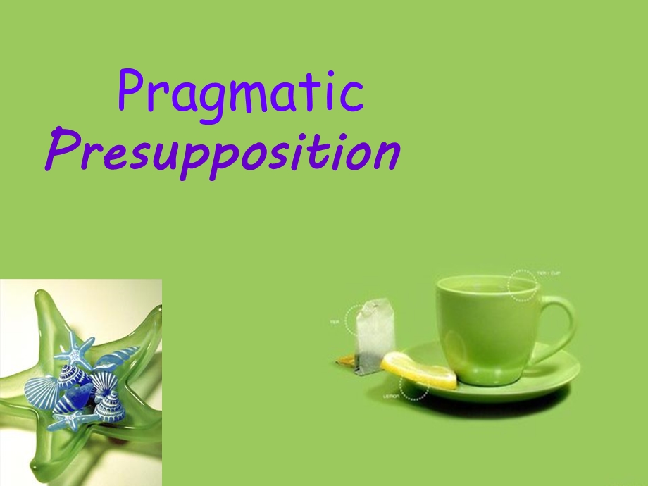 PragmaticPresupposition英文版.ppt_第1页