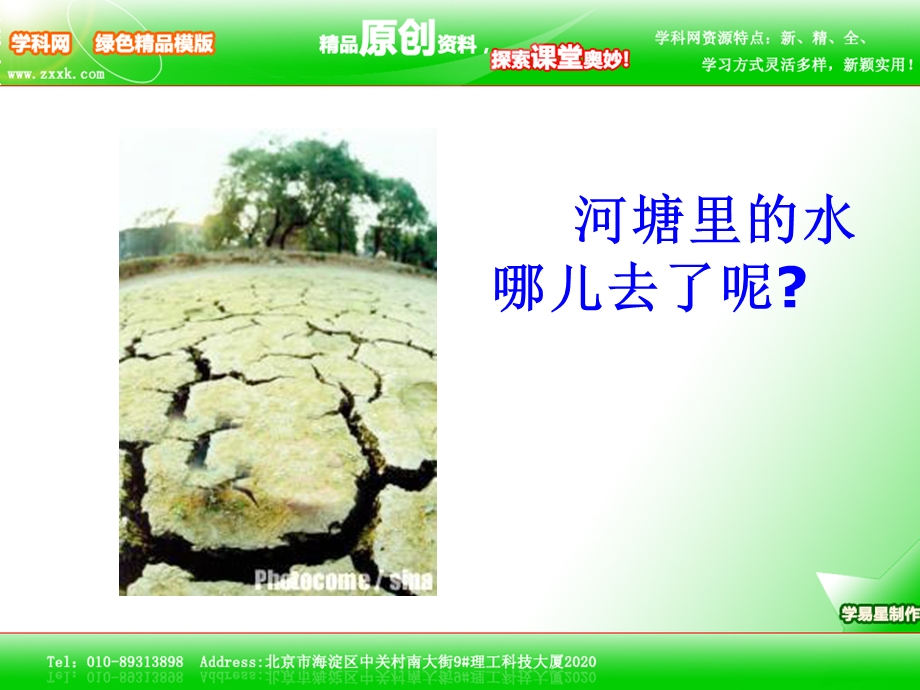 它们为什么全身都是刺.ppt_第2页