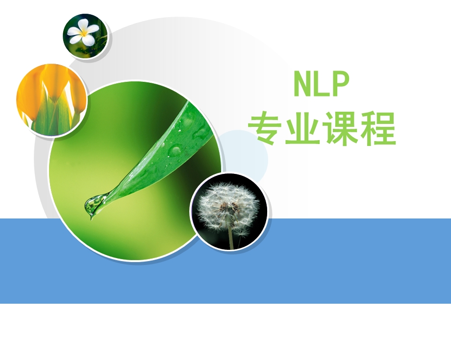 NLP培训专业课件.ppt_第1页