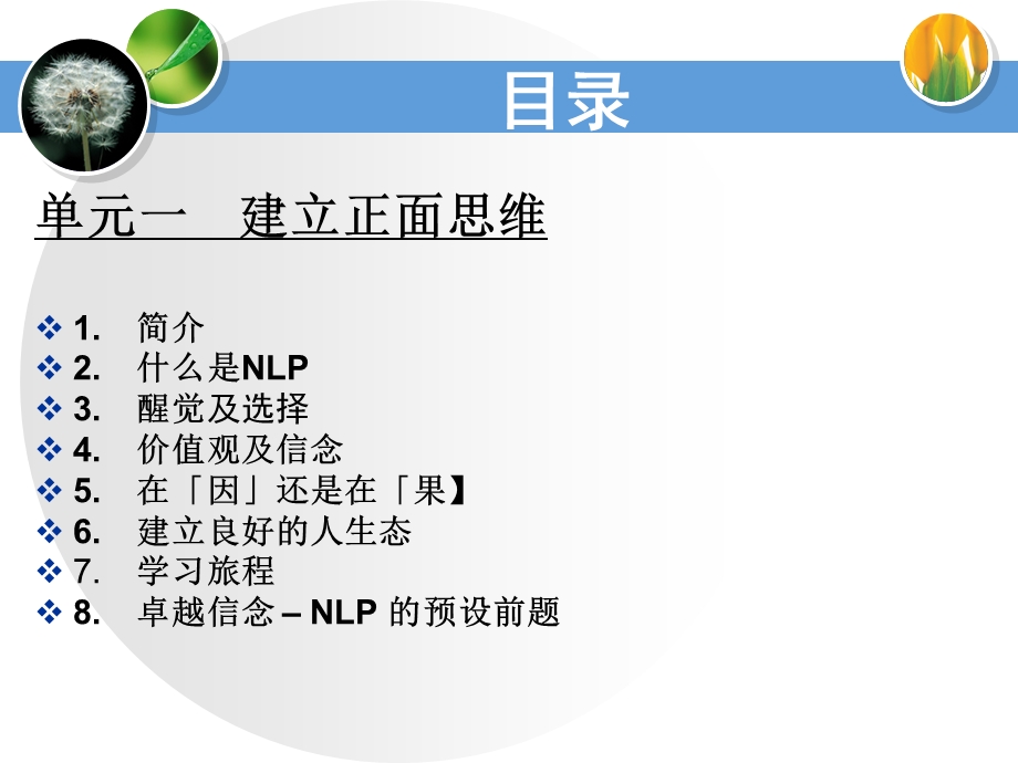 NLP培训专业课件.ppt_第2页