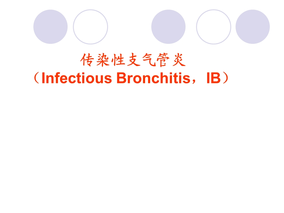 IB(传染性支气管炎).ppt_第1页