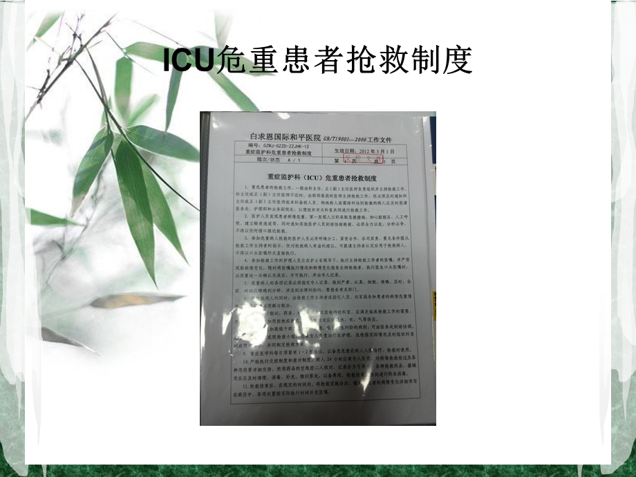 危重病人的抢救配合——李菲菲.ppt_第3页