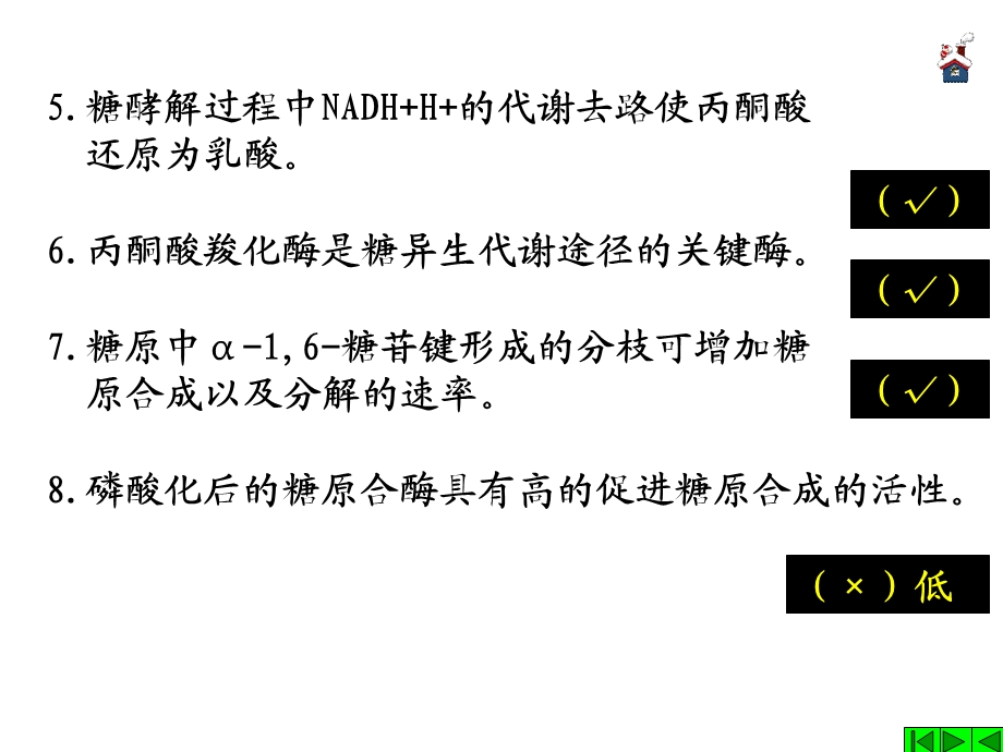 习题课 第03章 糖代谢习题.ppt_第3页