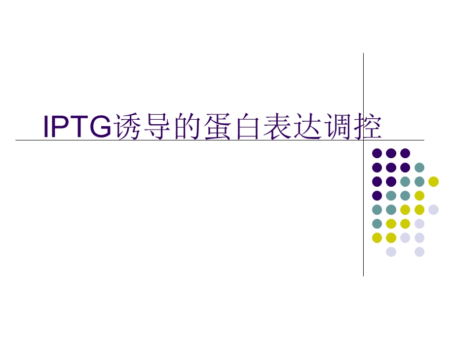 IPTG诱导的外源蛋白表达.ppt_第1页