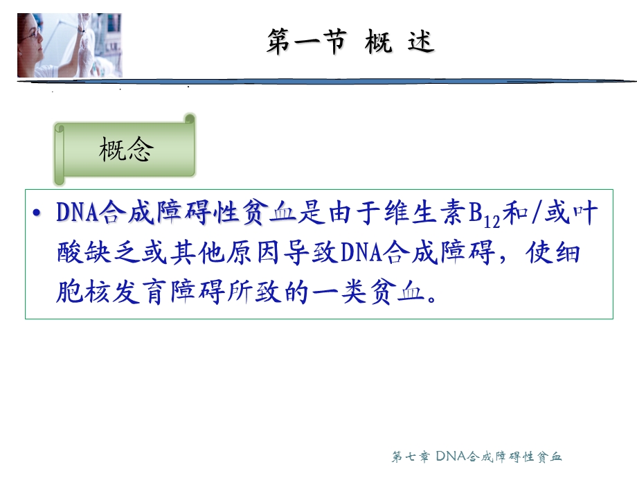 DNA合成障碍性贫血.ppt_第2页