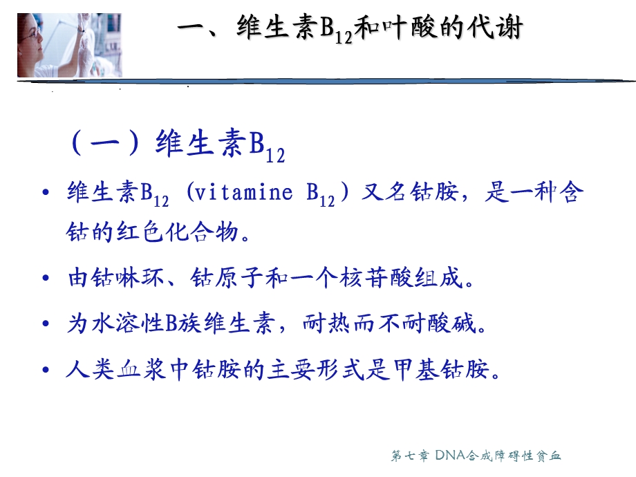 DNA合成障碍性贫血.ppt_第3页