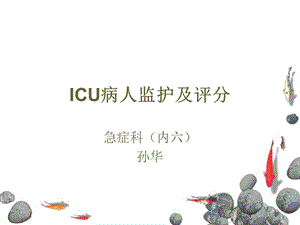 ICU病人监测及评分系统.ppt