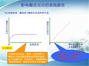 2016届高三生物一轮复习图示4.影响酶促反应的曲线解读.ppt