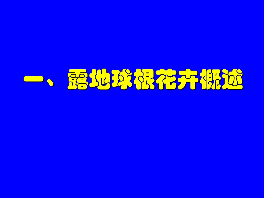 露地球根花卉.ppt_第3页