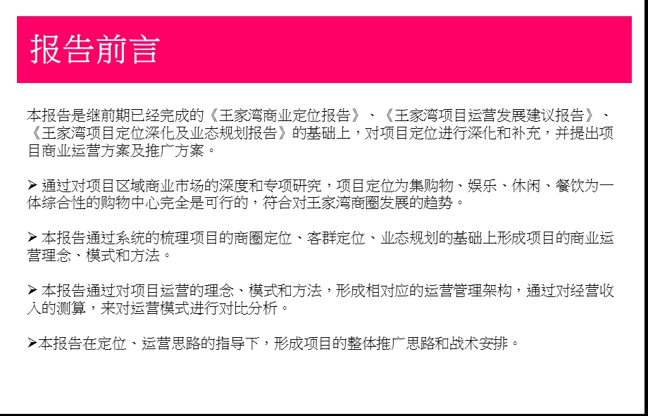 009金驰王家湾项目商业运营方案3p.ppt_第2页