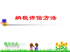 纳税评估方法.ppt