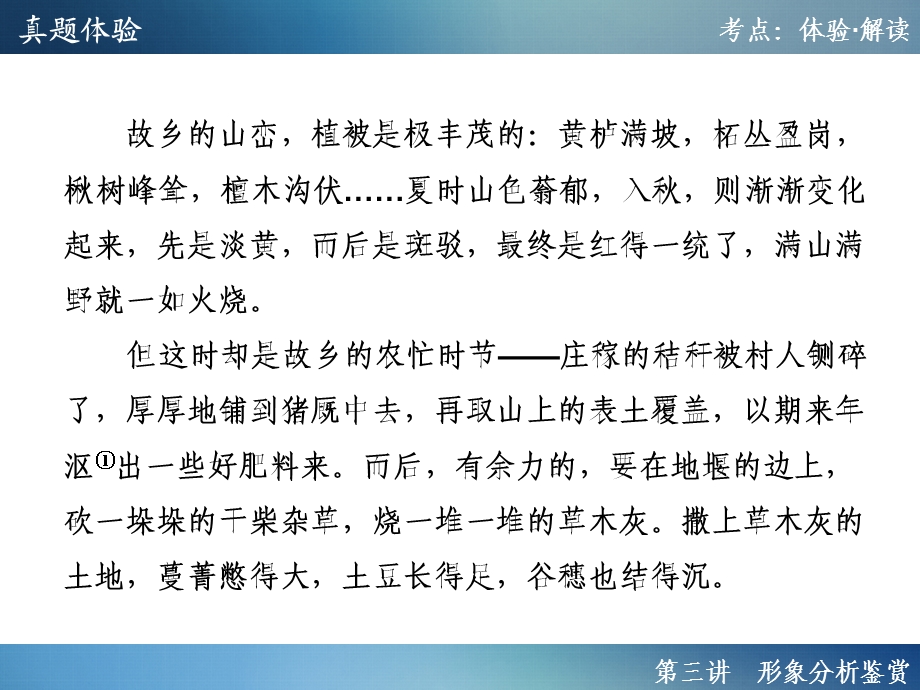 2016年聚焦新中考大一轮复习讲义配套课件2.1.3形象分析鉴赏.ppt_第3页