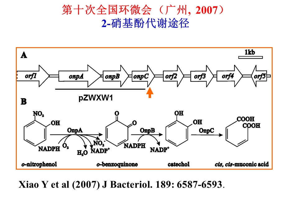 2014年环境微生物年会大会报告.ppt_第3页