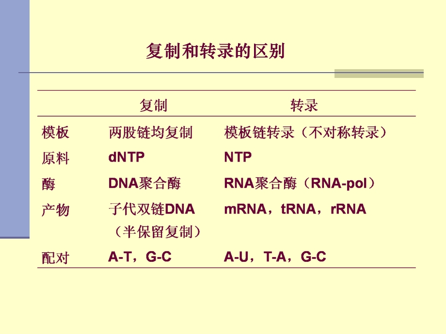 RNA的生物合成11Tra.ppt_第3页