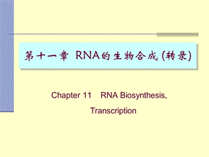 RNA的生物合成11Tra.ppt