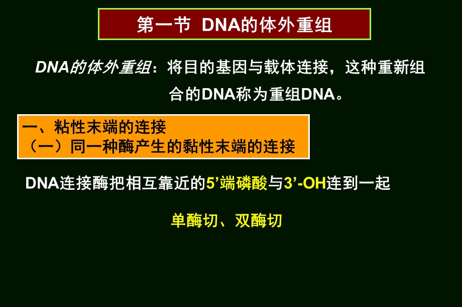 DNA重组的操作.ppt_第2页