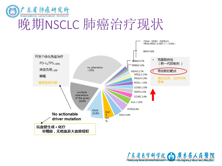 CSCO肺癌指南驱动基因阴性治疗策略V.ppt_第3页