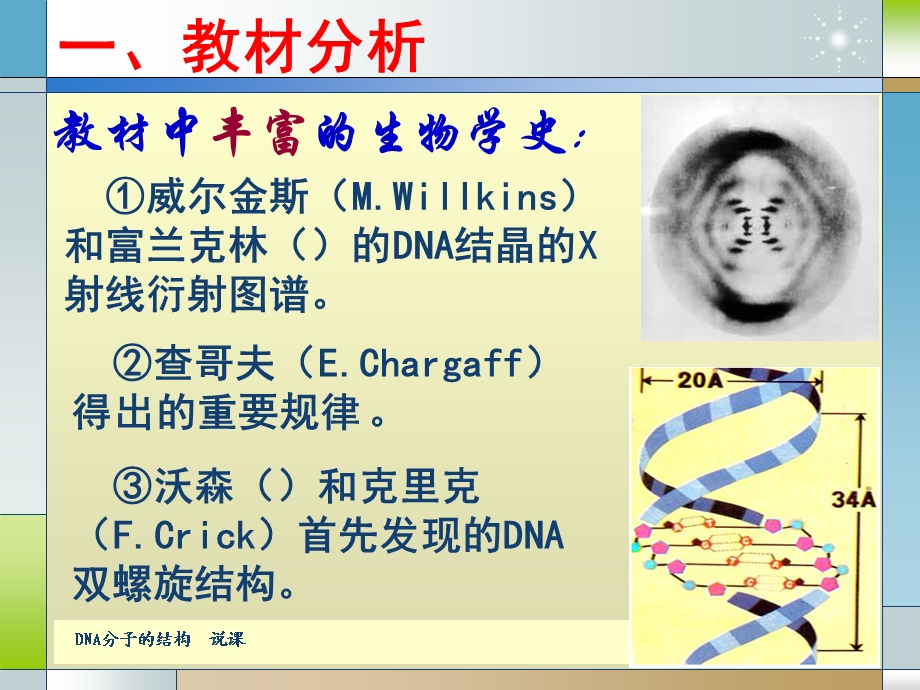 DNA分子的结构说课课件.ppt_第3页