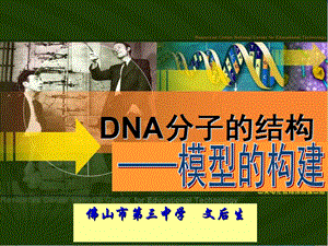 DNA分子的结构说课课件.ppt