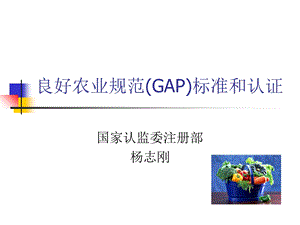 GAP标准和认证知识.ppt